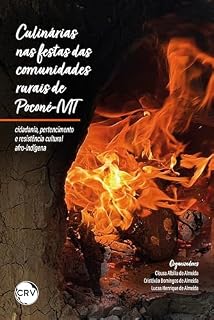 Livro Culinárias nas festas das comunidades rurais de Poconé-MT: Cidadania, pertencimento e resistência cultural afro-indígena