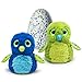 Hatchimal Exclusive Burtle Purple/Teal