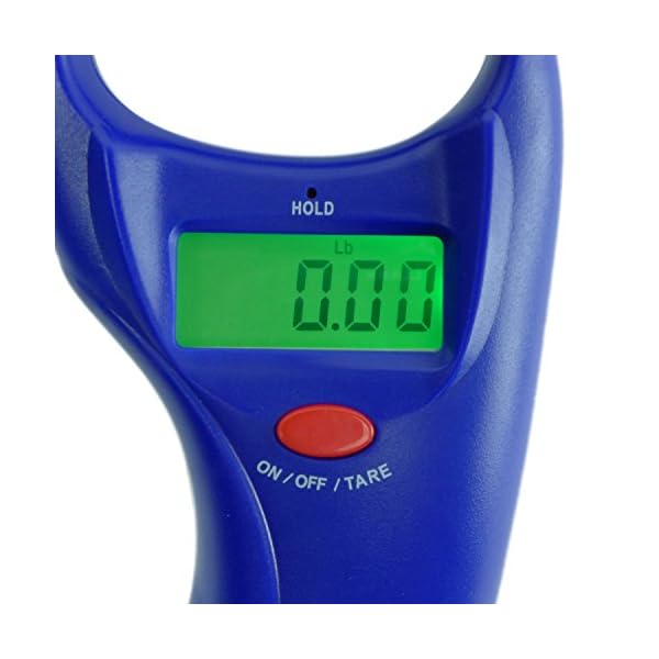 Home-Lake-Digital-Fish-Scale-by-Polychrome-Gear-99lb45kg-Mountain-Lake-Blue