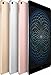 Apple iPad Pro 10.5in - 256GB Wifi - 2017 Model - Gray (Renewed)