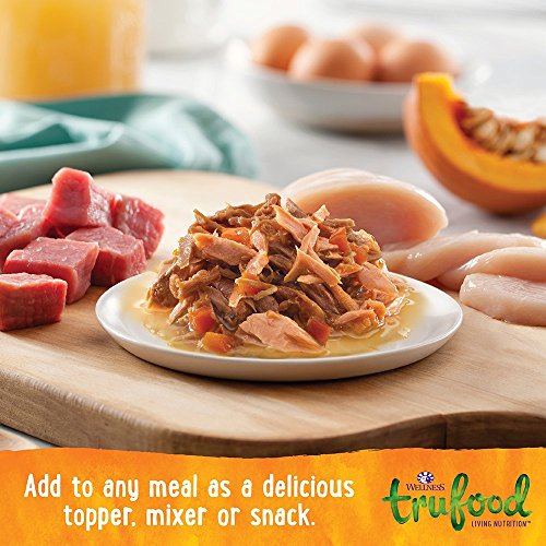 The Best SemiMoist Cat Food (2018)