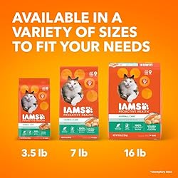 IAMS Proactive Health Adult Hairball Care Dry Cat