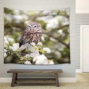 Owl Stand on Flowers - Fabric Wall Tapestry Home Decor - 51x60 inches