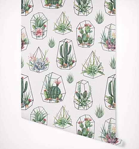 Kraska Cactus Succulent Plant Wallpaper Self Adhesive Premium Quality Multi Purpose Peel & Stick Wallpaper - Ideal Decor for Home, Nursery, Kitchen, Bathroom, Office, Fridge - 24" x 24"