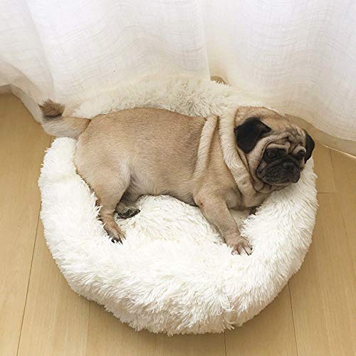 Fur Beds For Pets Dog Pet Sleeping Beg Dog Sofa Pet Royale Reversible Velvet Bed Very Attractive And Furry Sleeping Bed For Dog And Cat Best Product Pet In Winter Pet Bed