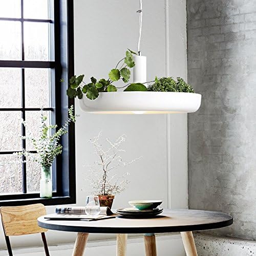 Flower Flower Pot Potted Plant Creative Chandelier (without Plant)