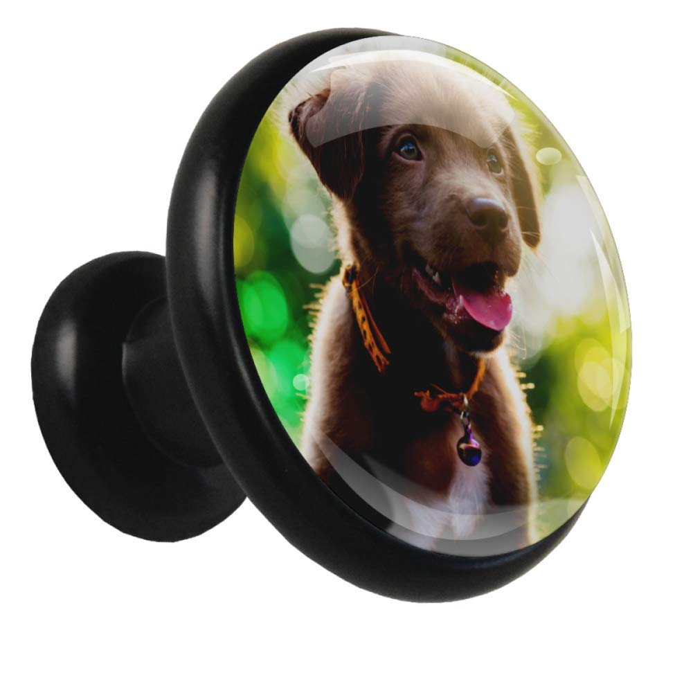 Schrankknöpfe und zieht Tierhund Glocke Bücherregal Knöpfe Runde Möbel