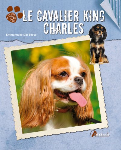Le  cavalier King Charles