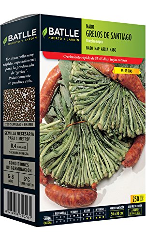 Semillas Batlle - Nabo Grelos Blanco De Lugo Caja 250G: Amazon.es ...
