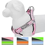 Blueberry Pet Step-in Harnesses 3M Reflective 3/4