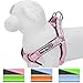 Blueberry Pet 4 Colors Soft & Comfortable 3M Reflective Step-in Pastel Color Paddd Dog Harness, Chest Girth 19.5