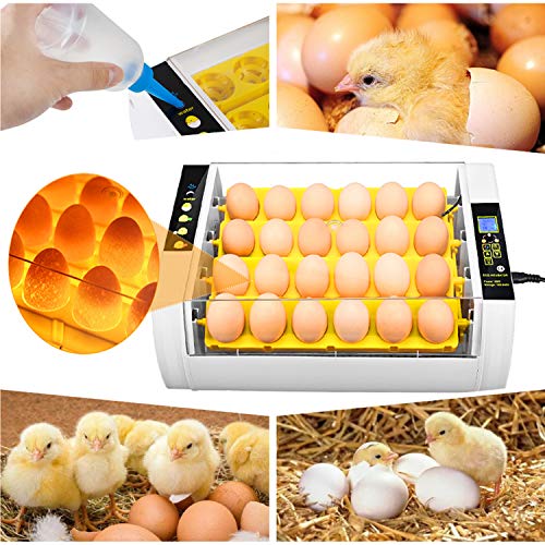 Egg Incubator(24 Eggs), Fully Automatic Digital Poultry Hatching