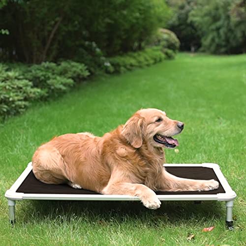 Veehoo Chew Proof Elevated Dog Bed Cooling Raised Pet Cot Silver