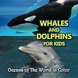 Whales And Dolphins Usborne Discovery Susanna Davidson