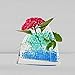 4000 Pcs Crystal Soil Water Beads Growing Magic Jelly Balls Bio Gel Wedding Casamento Vase Fillers (Turquoise)