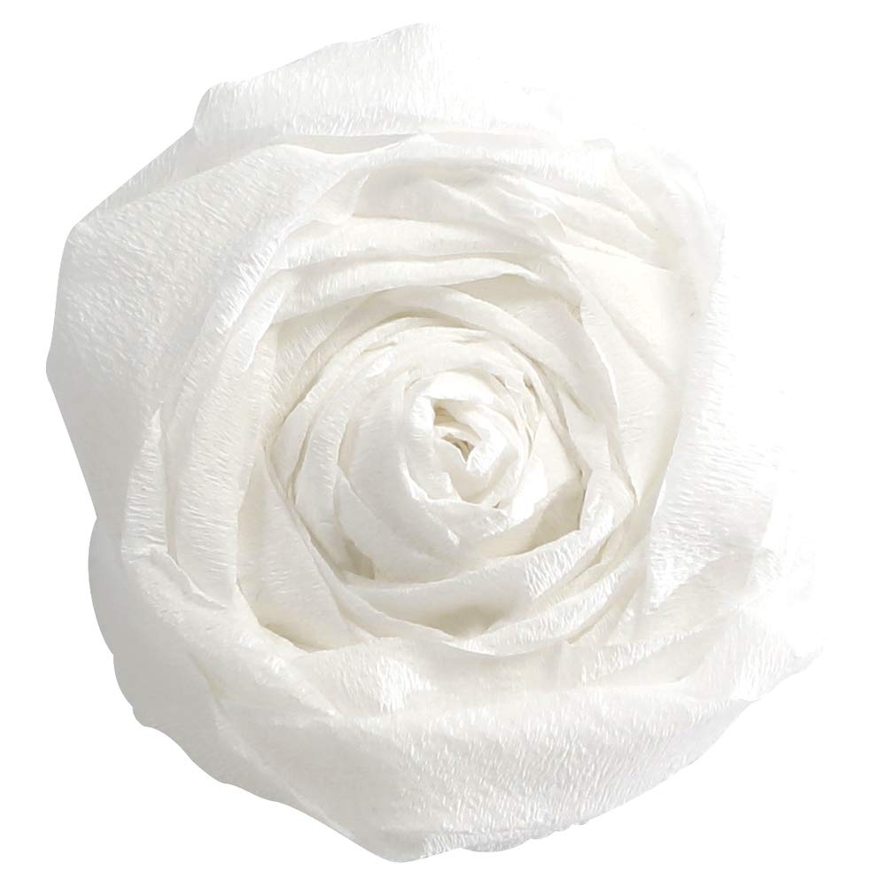 Clairefontaine 903001C - Pack of 10 Sheets of Crepe Paper - Colour White - Format 2.50x0.50m - Crepe 60% - Elastic and Resistant - Arts and Crafts - Creative