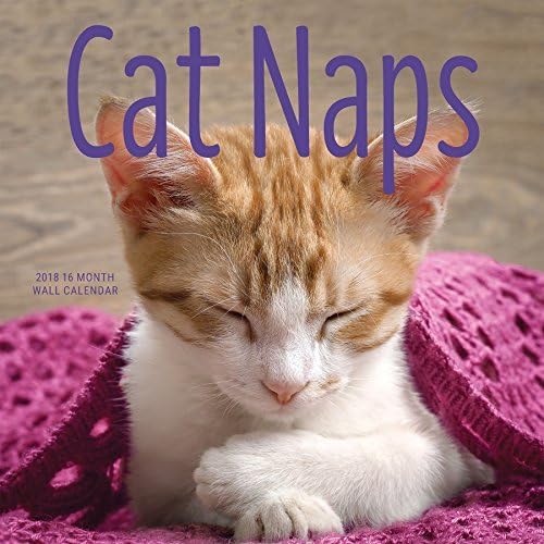 2018 Avalon Cat Naps Wall Calendar 12 x 12 Inches