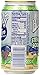 Blue Sky Zero Calorie Stevia Soda (Jamaican Ginger Ale, 12-Ounce Cans, Pack of 24)