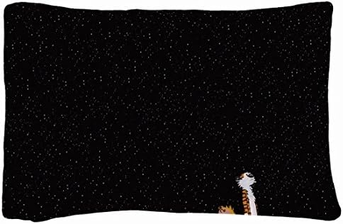 Microfiber Peach Standard Soft And Silky Decorative Pillow Case (20 * 26 Inch) - Nature Sky Stars Calvin Hobbes Calvin And Hobbes Nature Sky