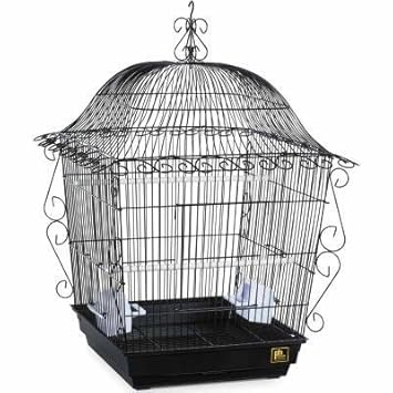 【クリックで詳細表示】【プレビューペット】PrevuePet ブラックジャンボスクロールケージ220B＋1780スチールスタンドセット ブラック