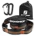 SONGMICS Hammock Straps Set of 2 Hammock Tree Straps with Aluminum Carabiners 2200lbs Breaking Strength, No Stretch, 32 Loops UGDC300