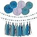 Baby Blue White Lake Blue Tissue Paper Pom Poms Flower Tissue Tassel Garland Circle Tissue Paper Garland Kit-20Pcs (Great for Boy First Birthday Party Wedding Nursery Decorations)