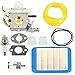 Butom Carburetor+Air Filter+ Gasket+Fuel Line Tune Up Kit for C1M-K77 Echo PB-403H PB-403T PB-413H PB-413T PB-460LN PB-461LN Backpack Blower PB-610 PB-620 PB-620H PB-620ST PB413 PB-400 Carb primary