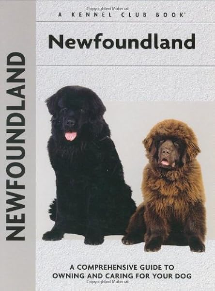 newfoundland kennel club
