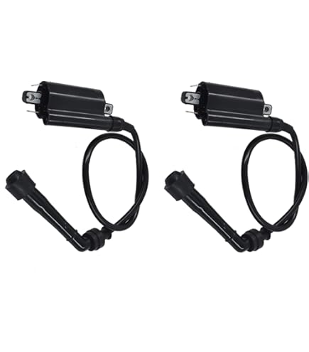 Amazon.com: 2pcs Ignition Coil 129700-4580 1297004580 J0458