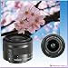 Canon EOS M50 Mirrorless Digital Camera – Black w/15-45mm & 75-300mm III Lens + Pro Accessory Bundle (Including Digital Flash, Equipment Carrying Case, 2X 64GB Transcend Memory Cards and More.)thumb 2