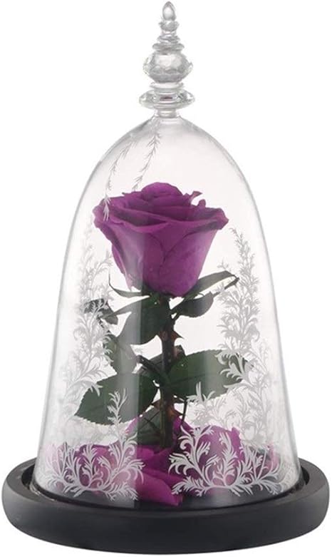 Amazon Co Jp Ruima 女の子のためのledナイトランプライトクリスマス誕生日プレゼントと人工花美女と野獣永遠の花 ライトナイト Color Purple ホーム キッチン