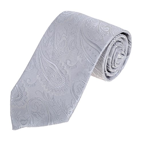 Epoint EAA1B03A Silver Patterned Tie Gifts for Mens Excellent Microfiber Presents Neckties