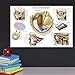 Palace Learning LAMINATED Eye Anatomical Poster - Human Eye Anatomy Chart - 18