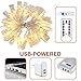 Photo Clip String Lights 20-LED USB-Powered with 8-mode Remote by TMB Lights | Holiday Fairy Christmas String Lights, Weddings/Anniversary, 10ft Warm White - For Bedroom Hanging Photos, Cards, Artwork