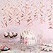 Konsait Rose Gold 18th Birthday Decorations for Women and Girl Bday Decor 18th Birthday Hanging Swirls (30pcs) 18 Happy Birthday Star Confetti (20g) for Home Table Decor Birthday Party Favor Supplies