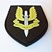 SAS British Special Air Service SFG UK Call of Duty COD PVC 3D Rubber Hook&Loop Patch
