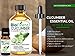 Biofinest Cucumber Seed Essential Oil - 100% Pure Undiluted, Premium Organic, Therapeutic Grade - Best for Aromatherapy, Skin Care, Soothe Wounds Cuts Acne Sunburn Wrinkles - Free E-Book (10ml)