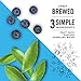 MATI Plant-Powered Sparkling Organic Energy Drink, Blueberry Pomegranate, 90 Calorie, 12 Fl Oz, Pack of 12