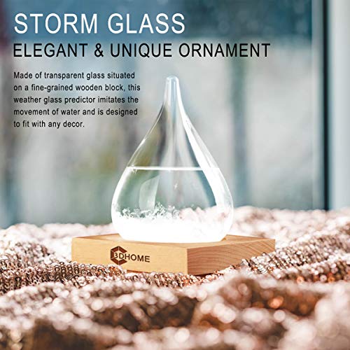 image for 3DHOME Storm Glass Bottle Weather Forecaster - Creative Fashion Crysta