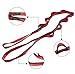 DASKING 23KN (5070 lbs) Heavy Duty Climbing Straps - 2 Pack Adjustable Daisy Chain Webbing for Aerial Yoga, Hammock, Fitness & Rigging - CE/EN566 Certified, Red
