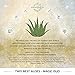 Organic Aloe Vera Moisturizing Cream Body and Face Moisturizer For Acne, Psoriasis, Rosacea, Eczema, Aging, Itchy Dry or Sensitive Skin Care Cream, 8 oz Skin Care Face Natural Cream (8 OZ)thumb 3