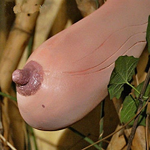 Ploy Melon Seeds Woman Breast Vegetables and fruit