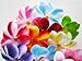 (100) Assorted Hawaiian Plumeria Frangipani Silk Flower Heads - 3