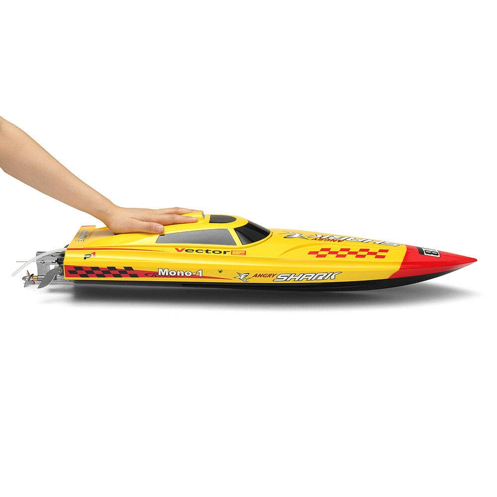angry shark rc boat
