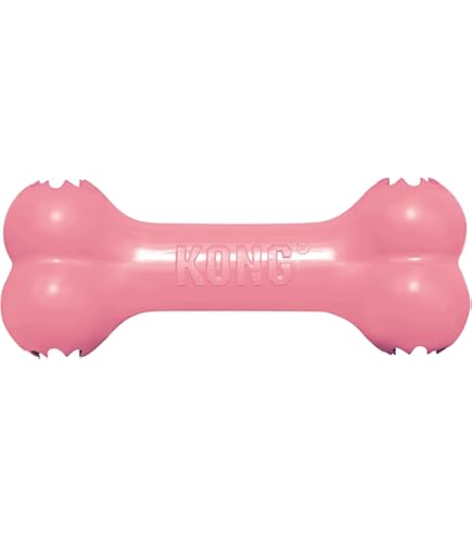 Pet Supplies : Pet Chew Toys : KONG Goodie Bone - Classic