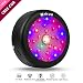 LED Grow Light Full Spectrum, New Technolgy 150W Grow Lamp with CREE COB High Light Par Value for Indoor Plants Money Tree Greenhouse Hydroponic Professional for Seedling Growing Blooming Fruiting