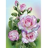 5D DIY Diamond Painting Embroidery,Lisin Flowers 5D DIY Diamond Painting Embroidery Square Diamond Home Decor Gift Wall Sticks (B, 30cmx40cm)