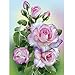 5D DIY Diamond Painting Embroidery,Lisin Flowers 5D DIY Diamond Painting Embroidery Square Diamond Home Decor Gift Wall Sticks (B, 30cmx40cm)