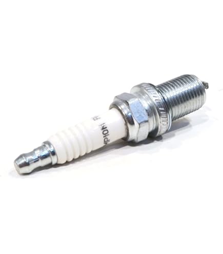 Amazon.com: OEM (Pack of 2) Champion Spark Plugs for Briggs