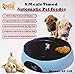 Qpets 6-Meal Automatic Pet Feeder
